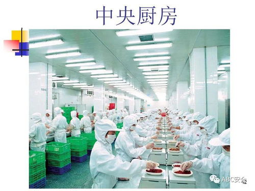 食品安全法與餐飲服務 筑牢健康防線，守護“舌尖上的安全”